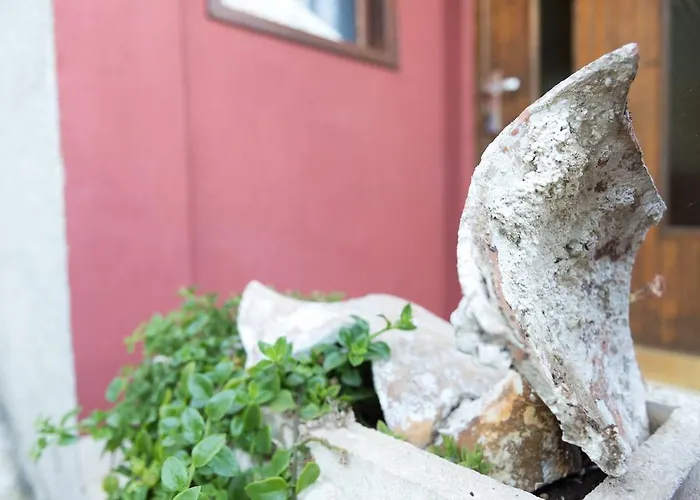 Apartament Vitorin *