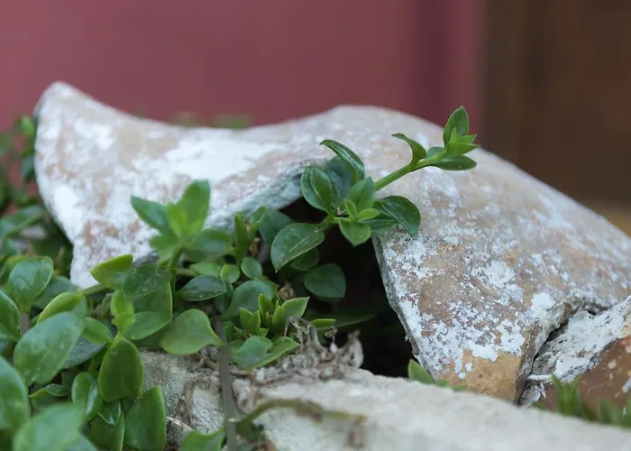 Vitorin Apartament Sobra